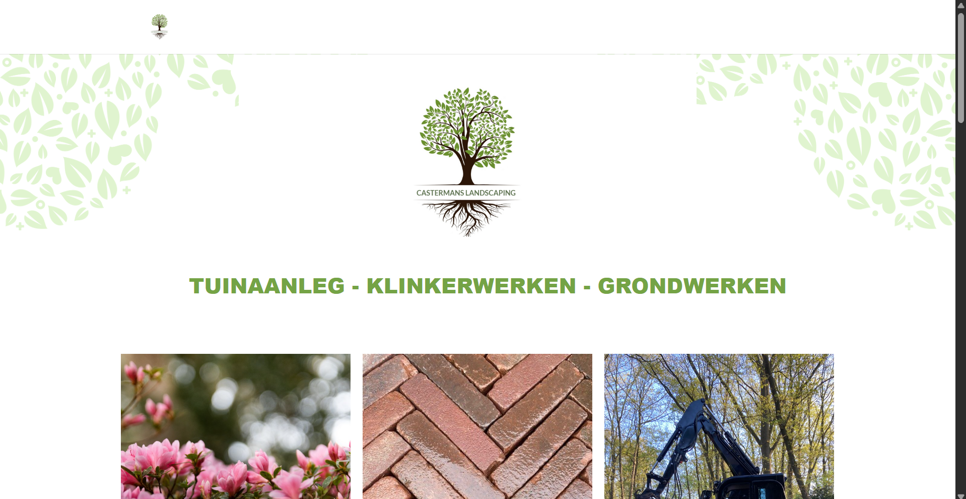 De oude website van Castermans Landscaping met een wit vlak, logo en losse steekwoorden